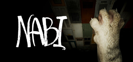 Boxart for NABI