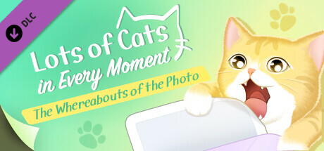 Boxart for Lots of Cats in Every Moment: The Whereabouts of the Photo