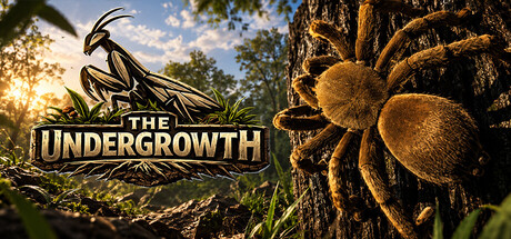 Boxart for The Undergrowth