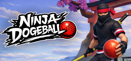 Boxart for Ninja Dodgeball