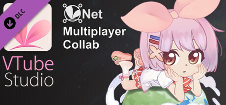 Boxart for VTube Studio - VNet Multiplayer Collab