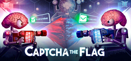 Boxart for Captcha The Flag