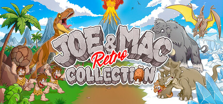 Boxart for Joe & Mac Retro Collection