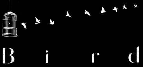 Boxart for Bird