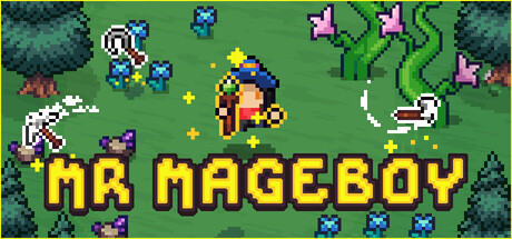 Boxart for MR MAGEBOY