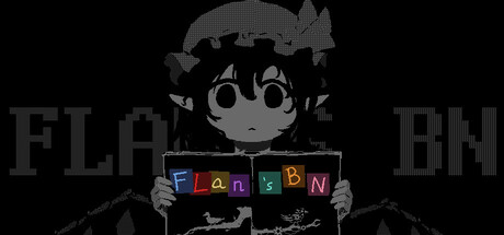 Boxart for Flan's BN