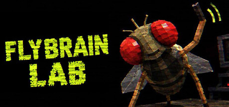 Boxart for FLYBRAIN LAB