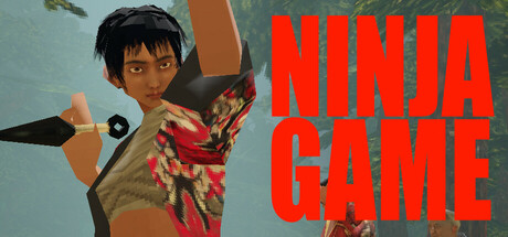 Boxart for Ninja Game