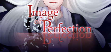 Boxart for Image of Perfection