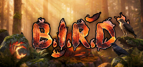 Boxart for B.I.R.D.