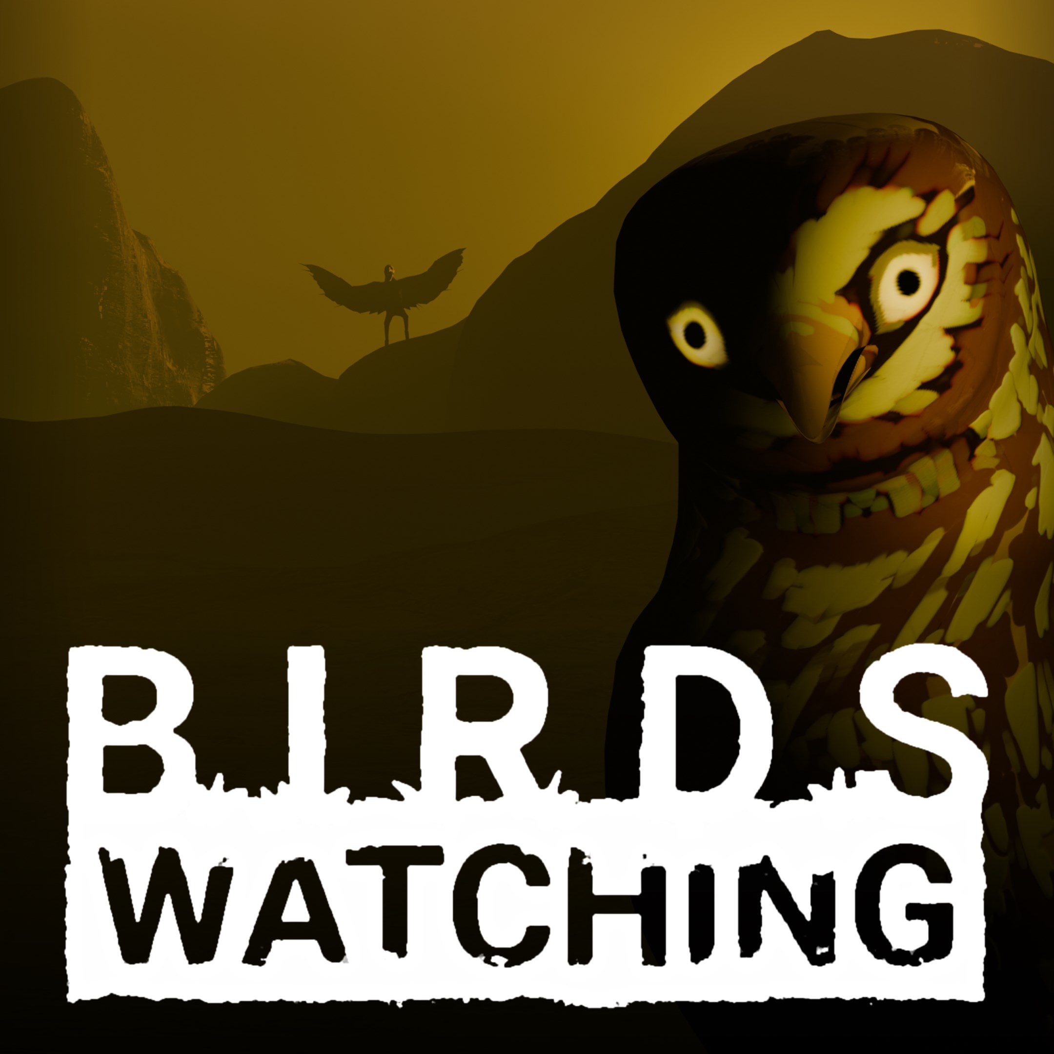 Boxart for Birds Watching