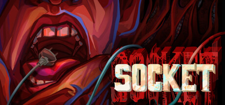Boxart for Socket