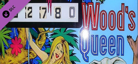 Boxart for Zaccaria Pinball - Wood's Queen Table