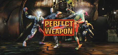 Boxart for Perfect Weapon