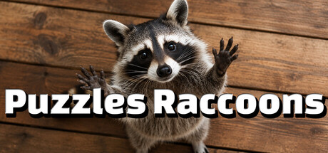 Boxart for Puzzles Raccoons