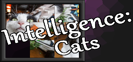 Boxart for Intelligence: Cats