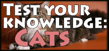 Boxart for Test your knowledge: Cats