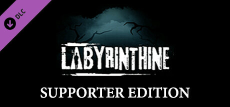 Boxart for Labyrinthine Supporter Edition