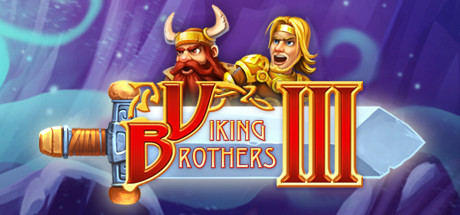 Boxart for Viking Brothers 3