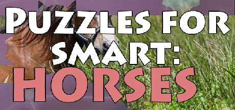 Boxart for Puzzles for smart: Horses