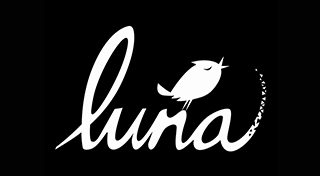 Boxart for Luna