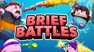 Boxart for Brief Battles