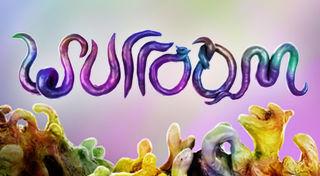 Boxart for Wurroom