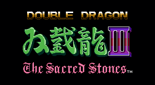 Boxart for DOUBLE DRAGON Ⅲ: The Sacred Stones