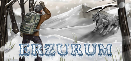 Boxart for Erzurum