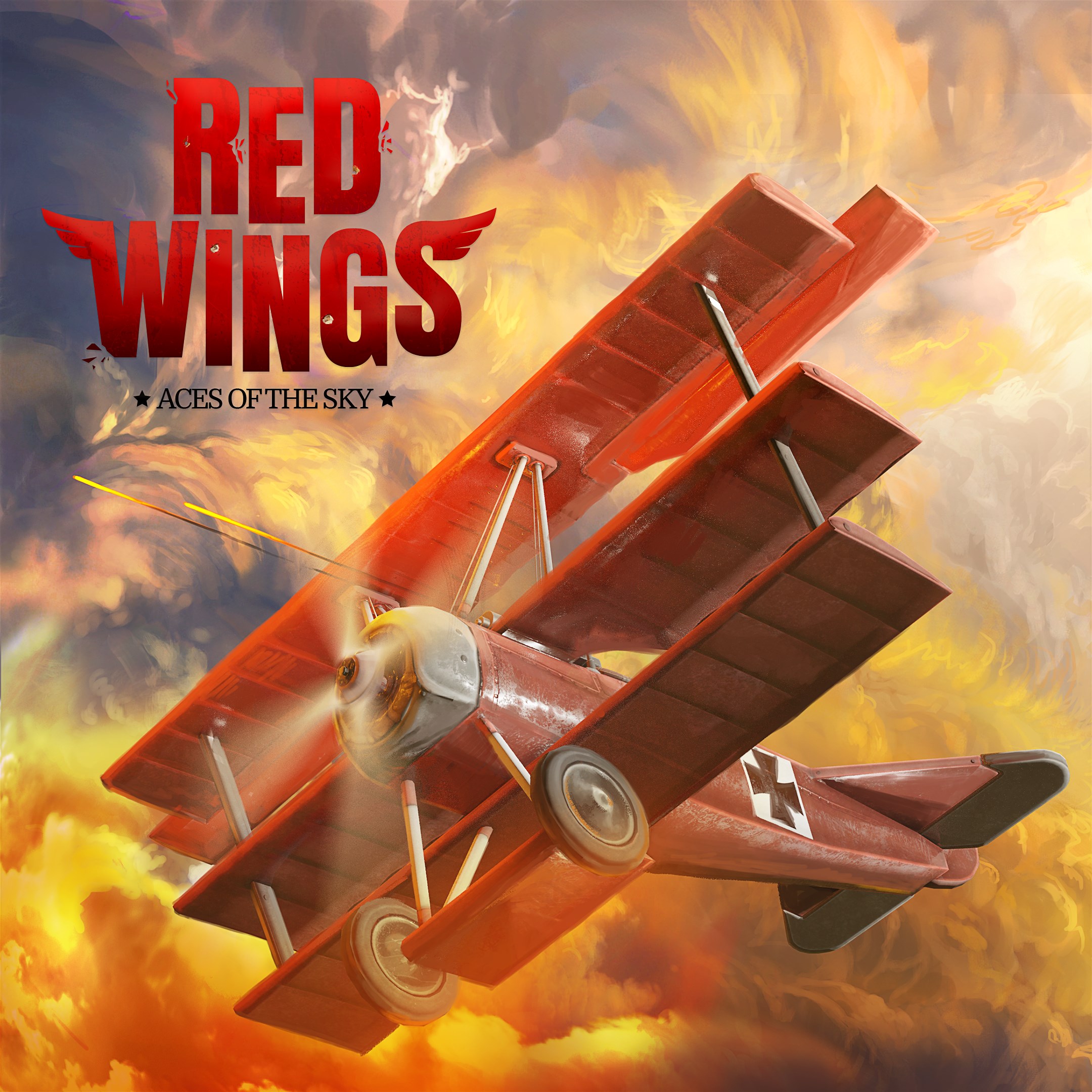 Boxart for Red Wings: Aces of the Sky
