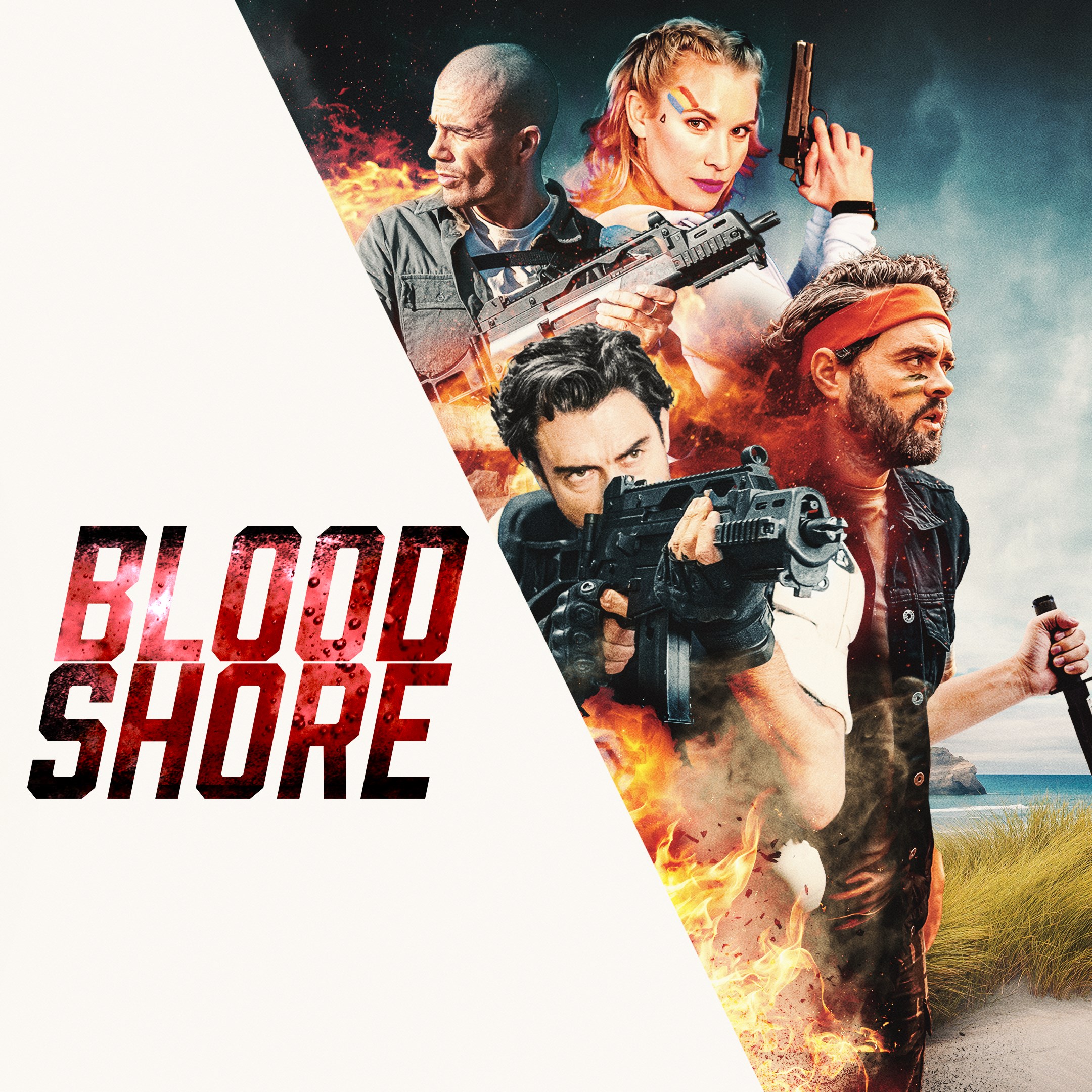 Boxart for Bloodshore