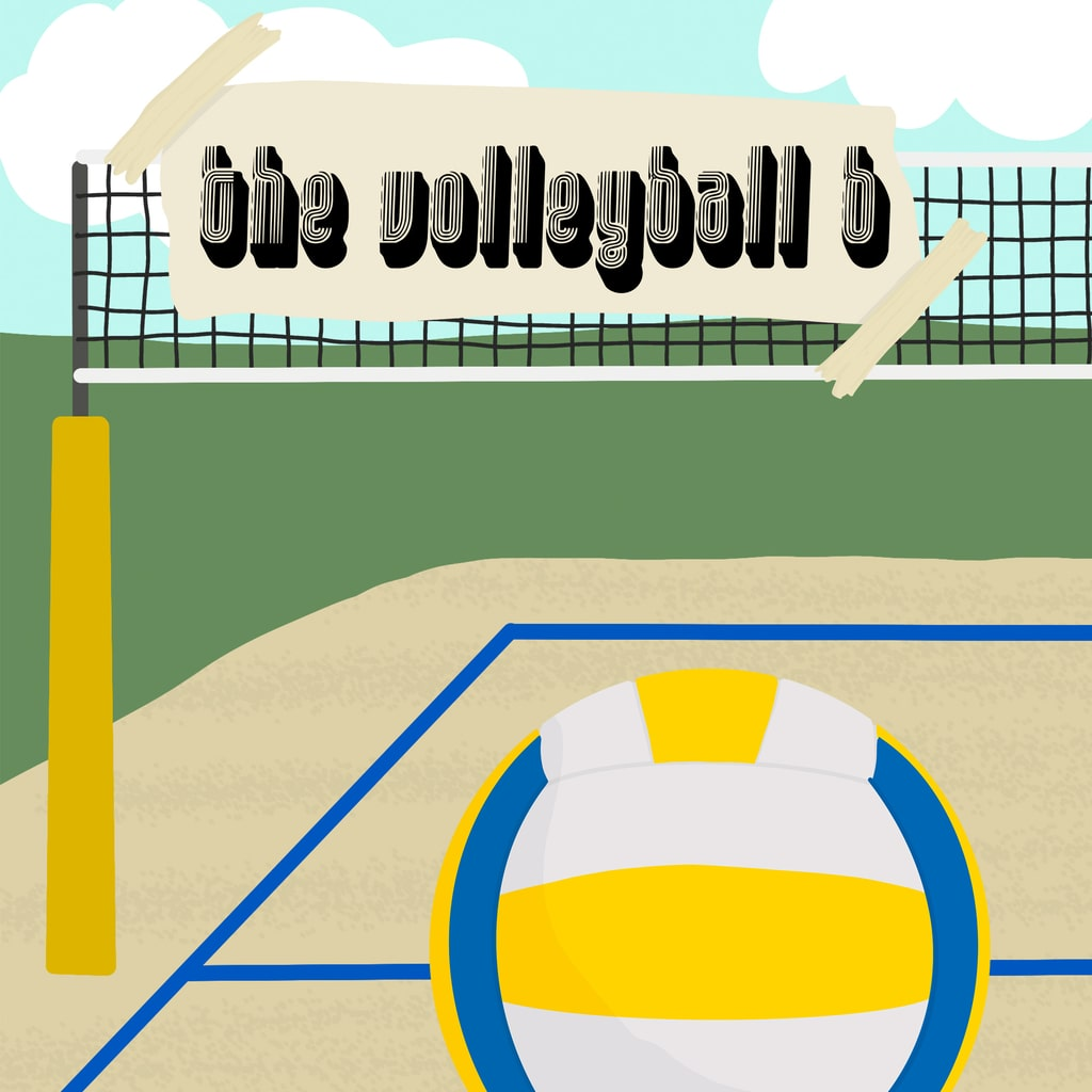 Boxart for The Volleyball B