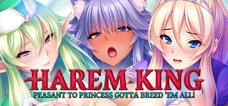 Boxart for Harem King: Peasant to Princess Gotta Breed 'Em All!