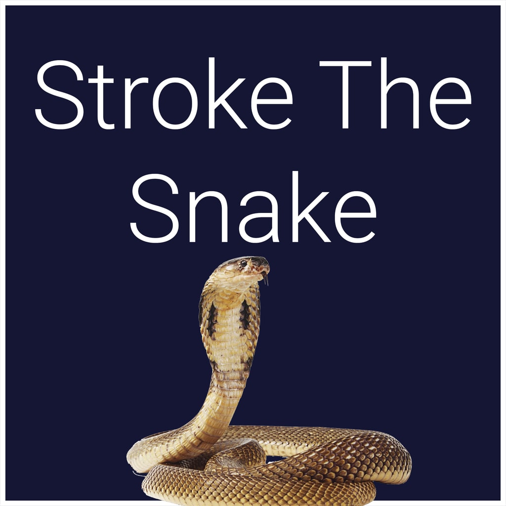 Boxart for Stroke The Snake