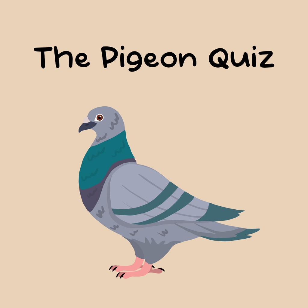 Boxart for The Pigeon Quiz