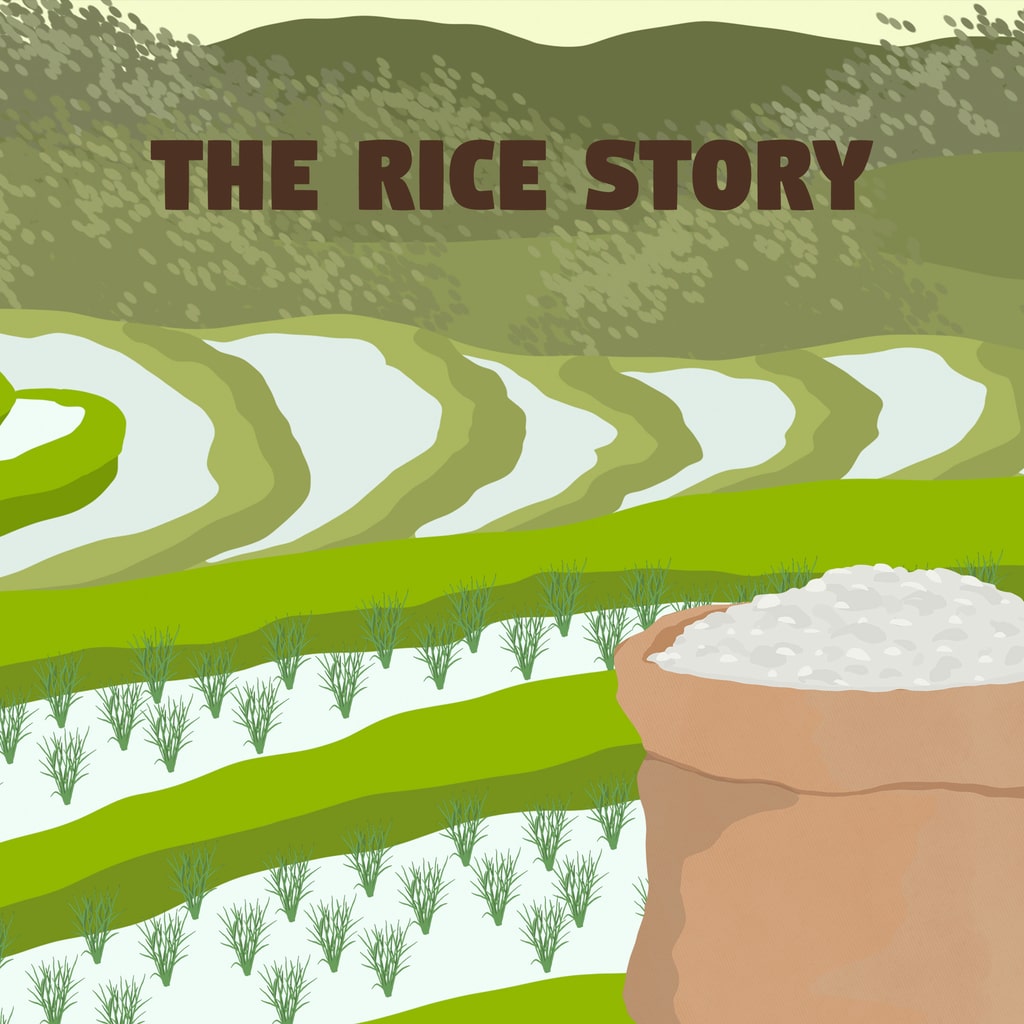 Boxart for The Rice Story