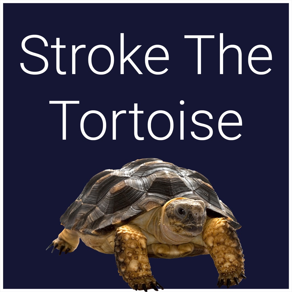 Boxart for Stroke The Tortoise