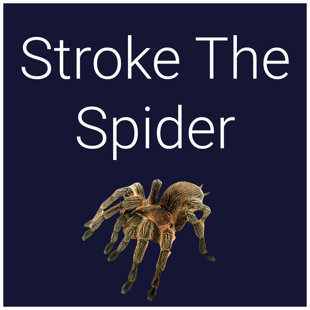 Boxart for Stroke The Spider