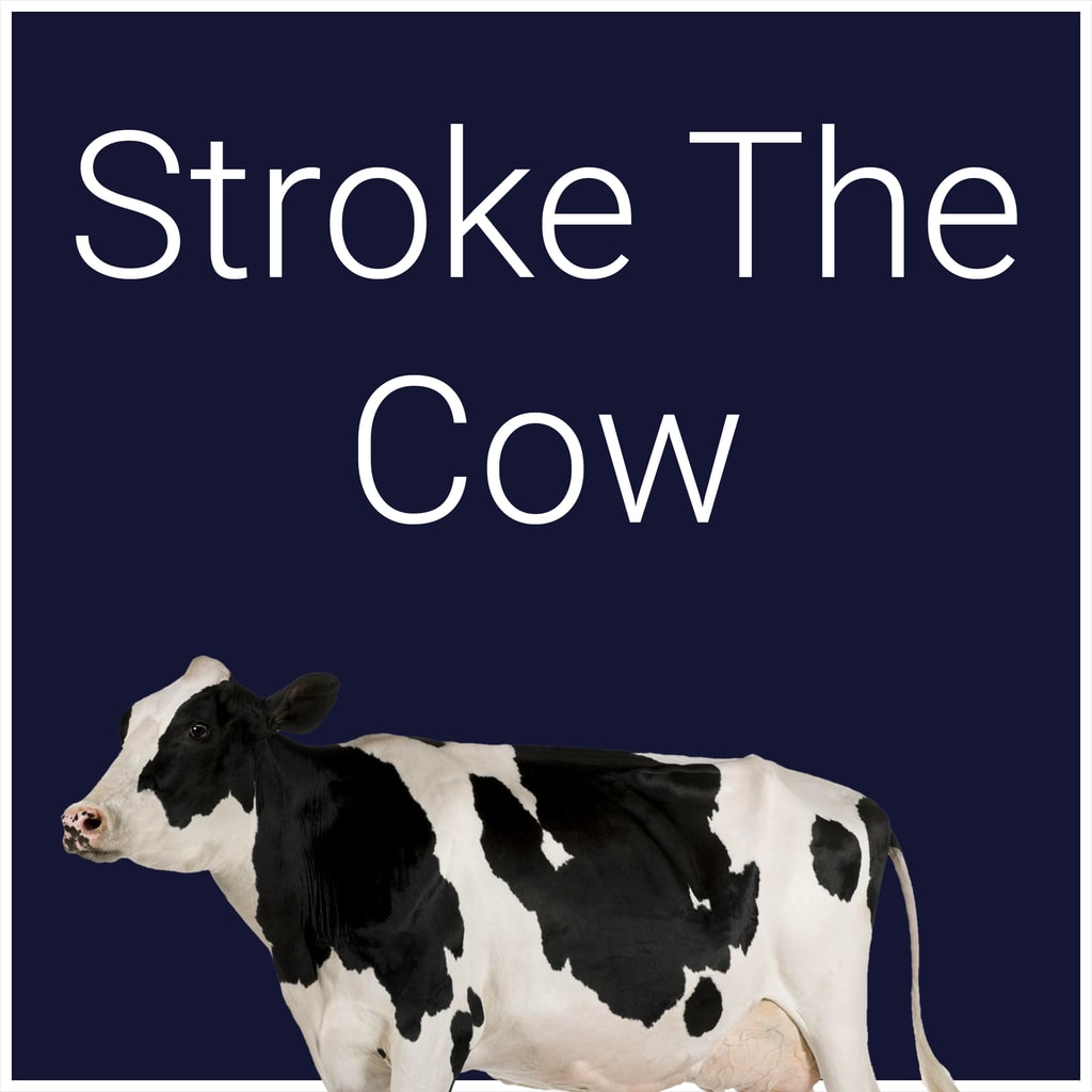 Boxart for Stroke The Cow