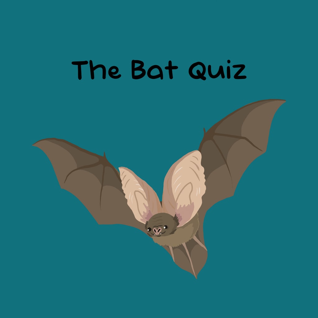 Boxart for The Bat Quiz