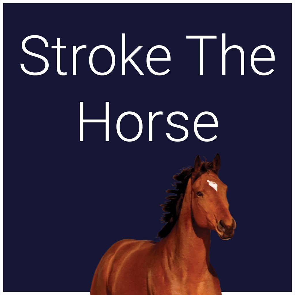 Boxart for Stroke The Horse