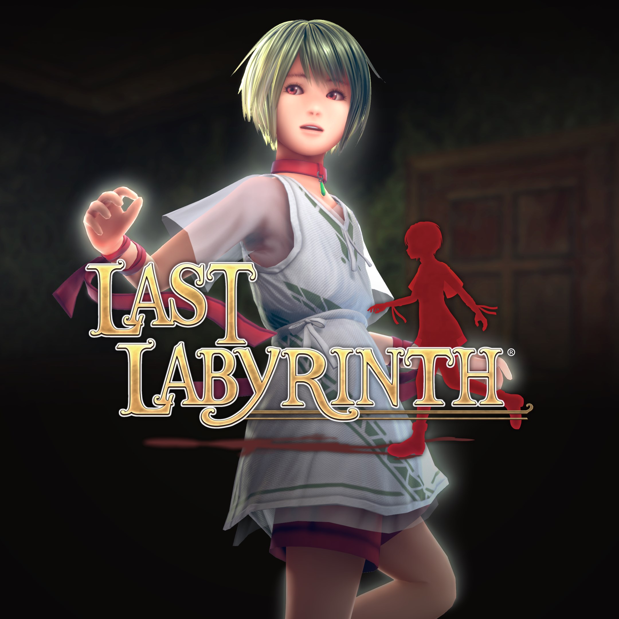Boxart for Last Labyrinth