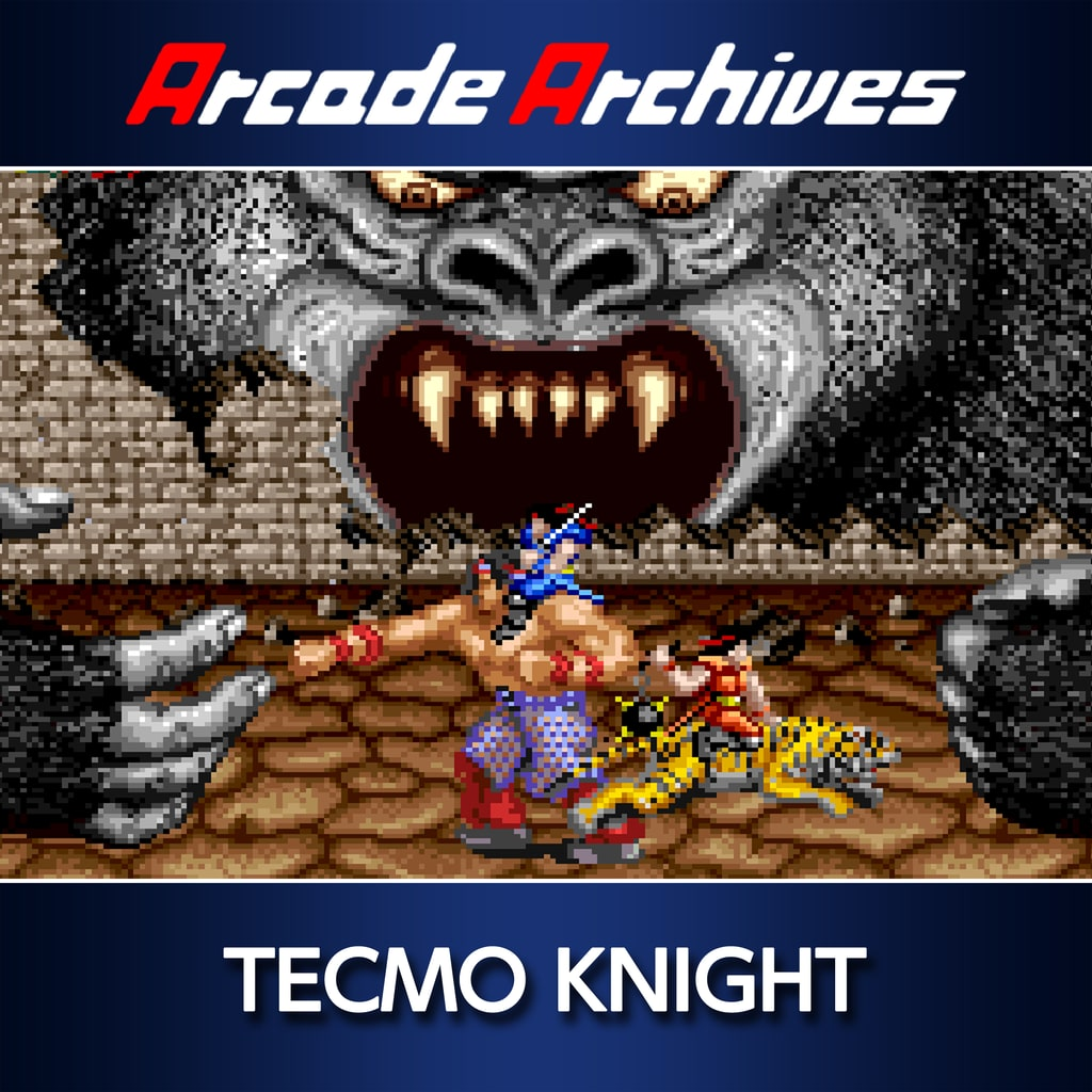 Boxart for Arcade Archives TECMO KNIGHT