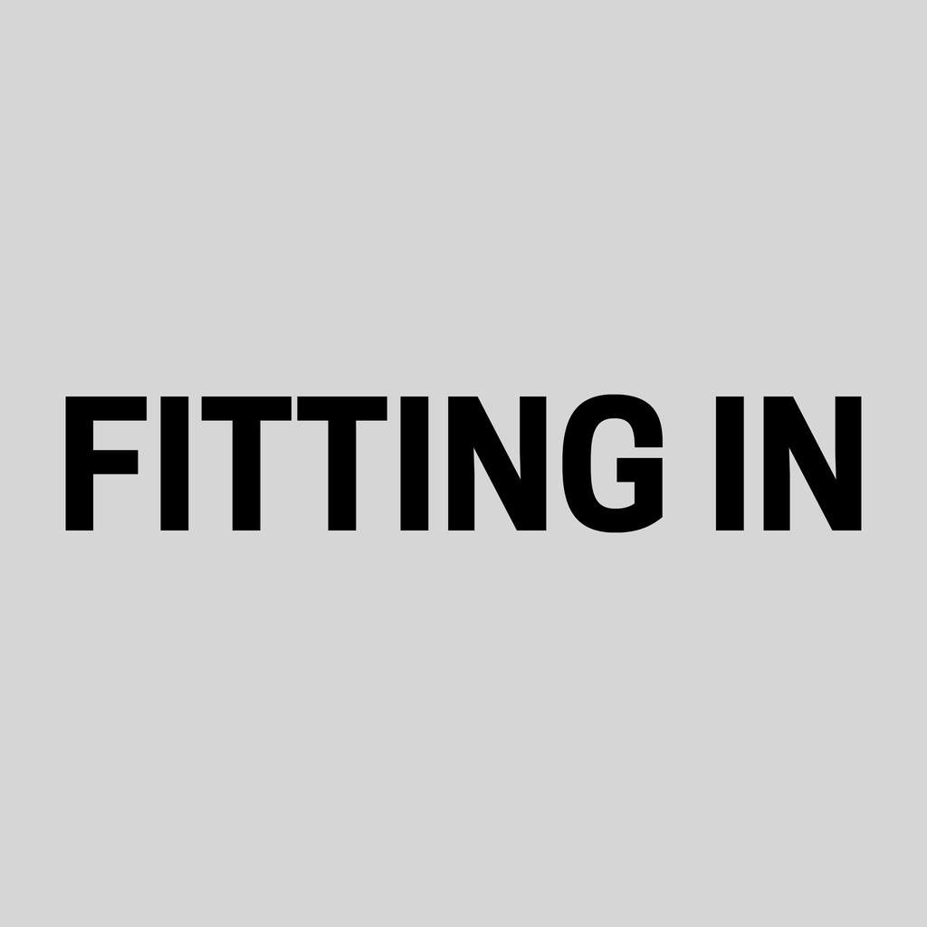 Boxart for Fitting In