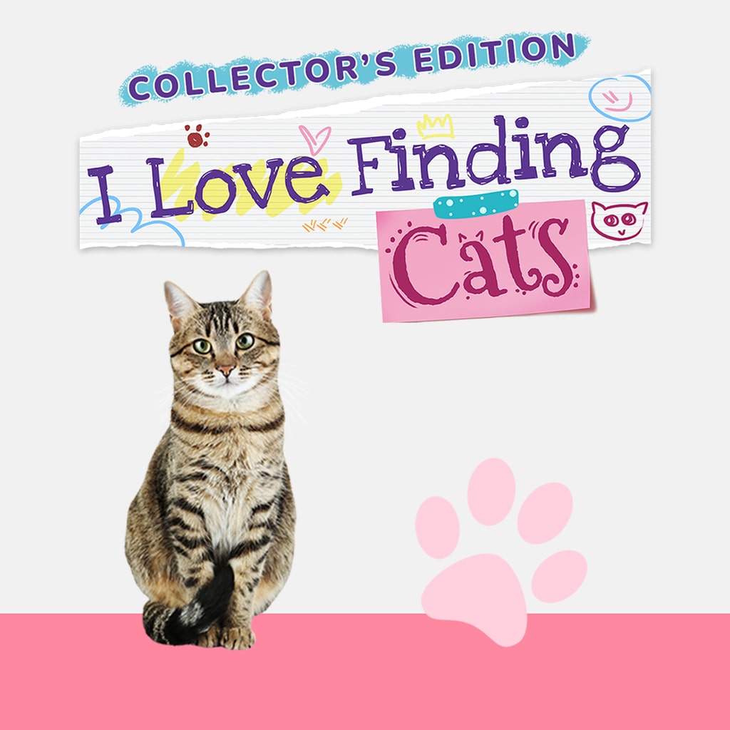 Boxart for I Love Finding Cats