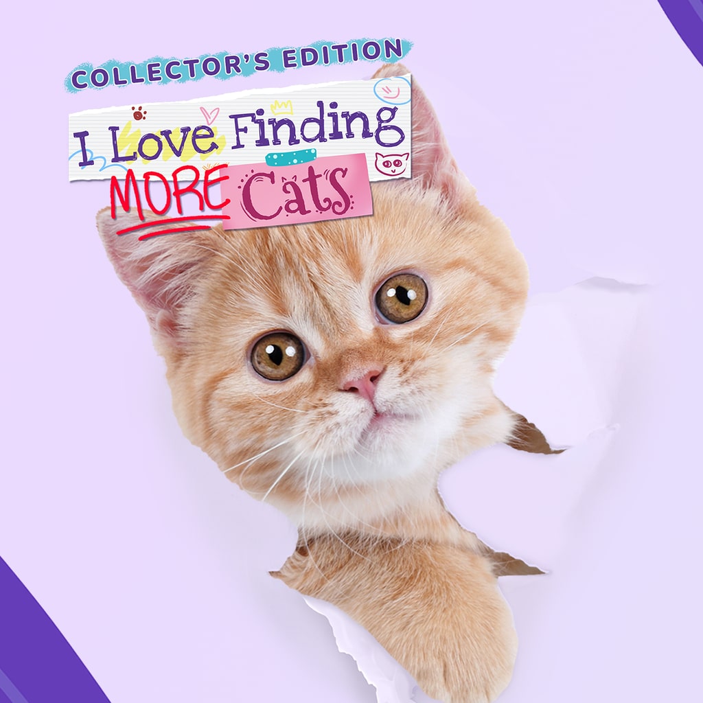 Boxart for I Love Finding More Cats