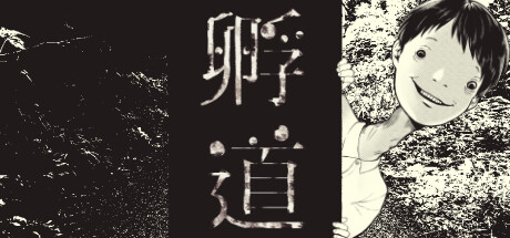Boxart for 孵道